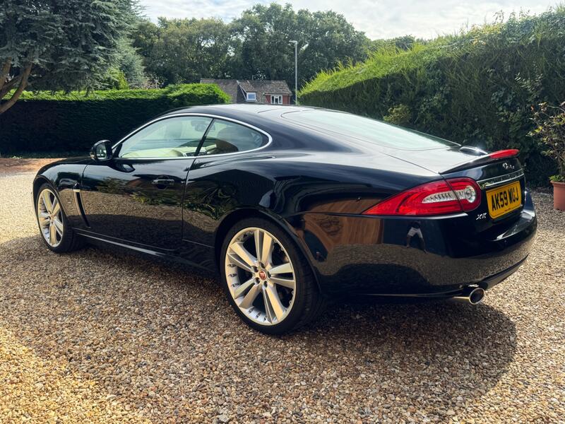 JAGUAR XK