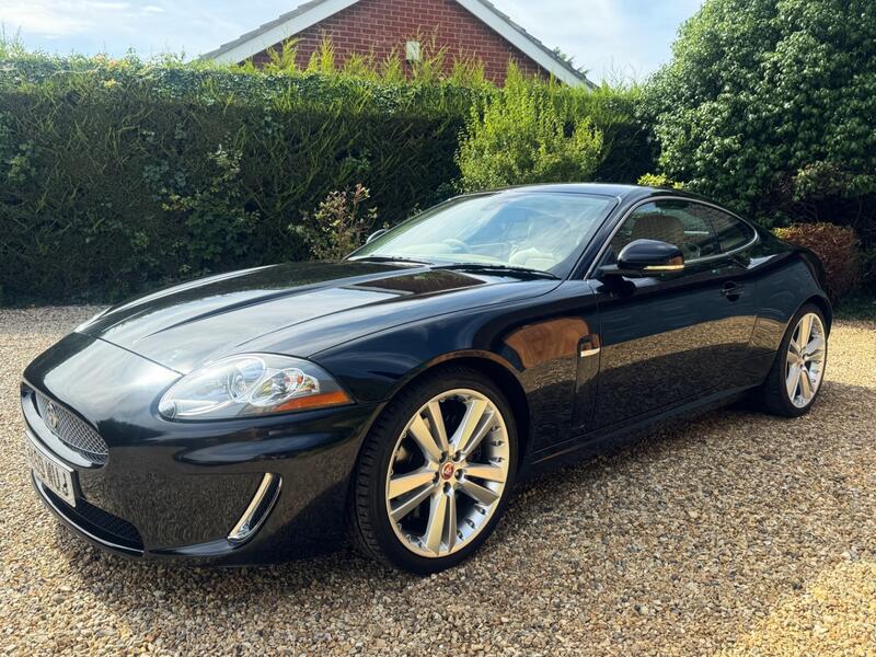 JAGUAR XK