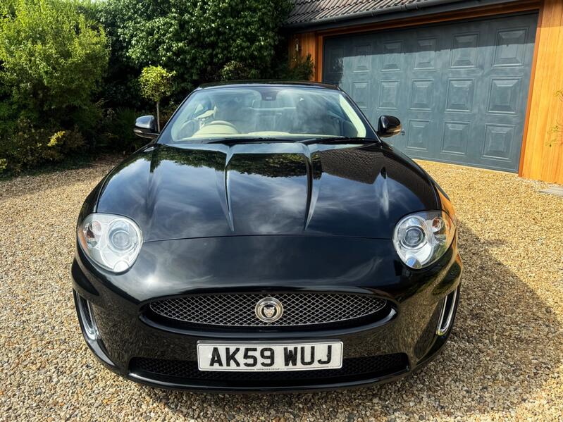 JAGUAR XK